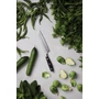 Kép 6/11 - VINGA Kaiser Santoku kés acél  
